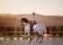 cheval de dressage et sa cavaliére avec coucher de soleil