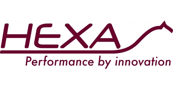 logo-Hexa-Horse