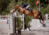 cheval sautant un Oxer