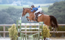 cheval qui saute un obstacle avec un fond bleu