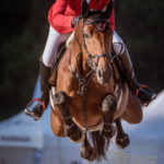 photodine64 equestrian cso photography