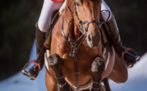 cheval qui saute un obstacle en gros plan avec cavalier qui porte une veste rouge