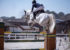 cheval gris et cavalier sautant un obstacle sur fond bleu
