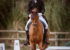 cheval de dressage et son cavalier au galop pendant un concours
